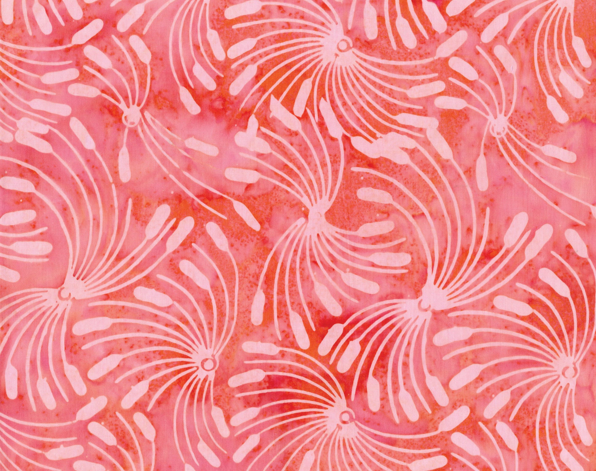 Whirl-A-Gig Coral