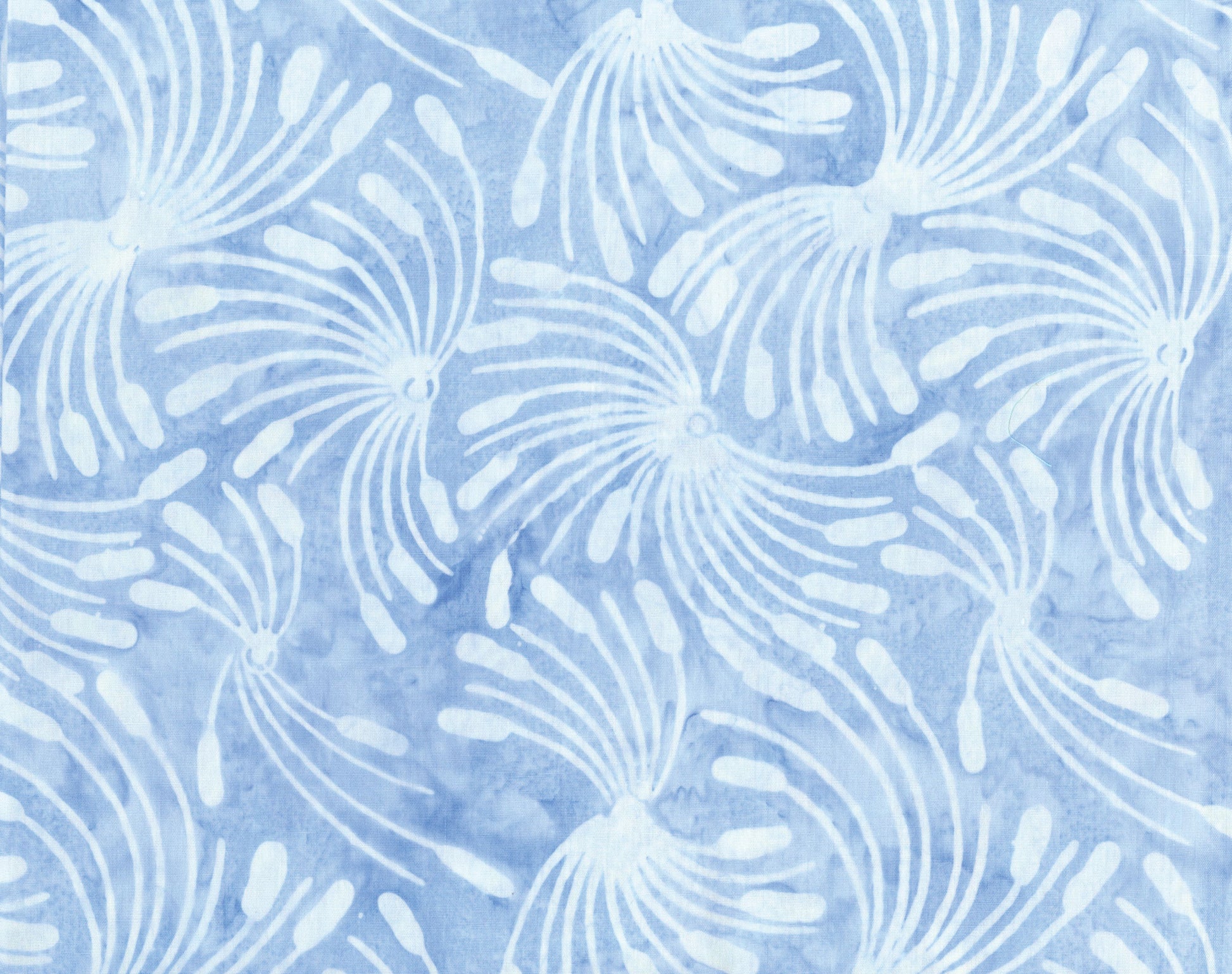 Whirl-A-Gig Hydrangea