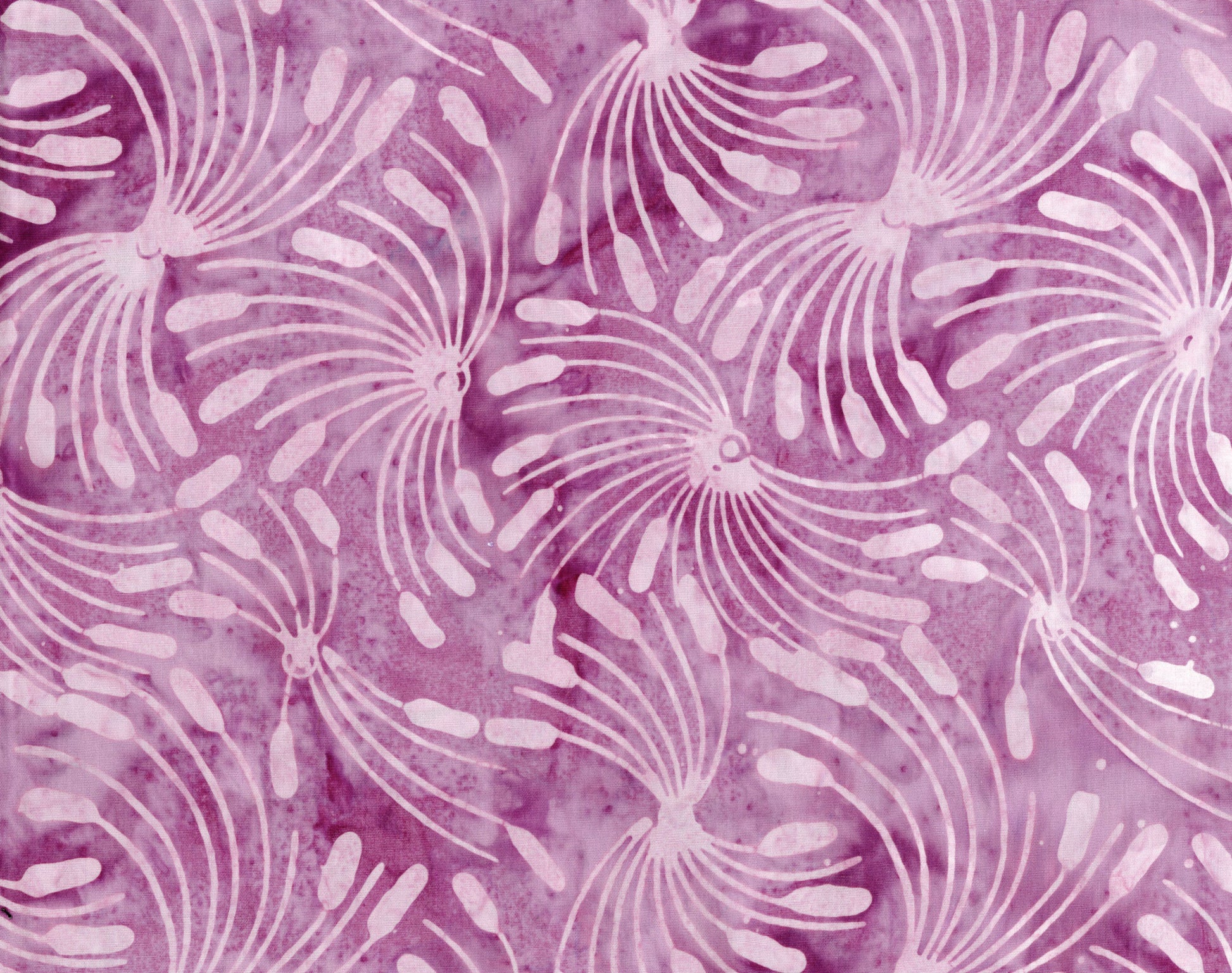 Whirl-A-Gig Petunia